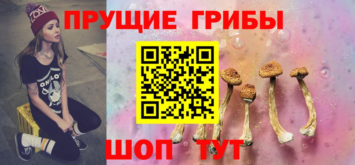 Губкин  Псилоцибиновые грибы мицелий  купить закладку  Вход с VPN 