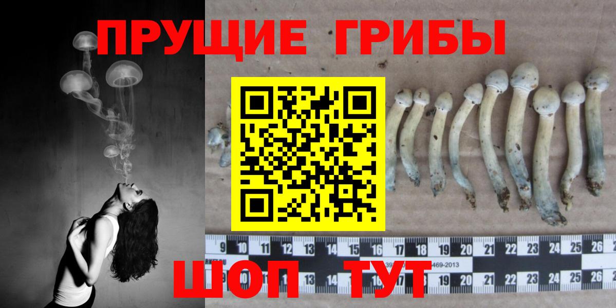 Псилоцибиновые грибы MAGIC MUSHROOMS Губкин